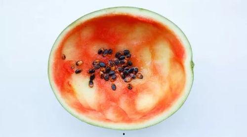 网红吃瓜勺子图片真实高清,揭秘网红美食背后的神秘道具 第1张 网红吃瓜勺子图片真实高清,揭秘网红美食背后的神秘道具 第1张